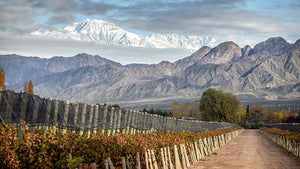 Uco Valley